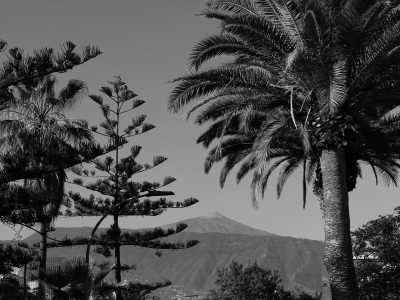 Spanien - Parque Nacional del Teide - Island Yoga Retreat 🧘🏽‍♀️  Moon Rituals, Water Cleansing, Journaling, Nature Walks and New Years Manifestations. ✨ Women only 🫶🏽 - 1