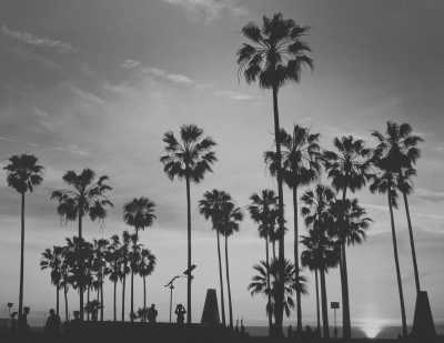 United States - Miami International Airport - MIAMI GIRLS TRIP! 🌴👙 5 Days of Bottomless Mimosas🥂, Digital Cameras📸, and PLAY! - 1