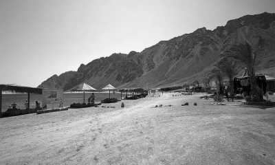 Egypt - Dahab - Working Remotely in Paradise: Experience Dahab, Egypt's Heavenly Oasis - 6