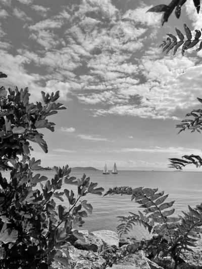 Turkey - Moda - Explore Magical Istanbul: Perfect Istanbul Experience with A Local ☀️ - 1