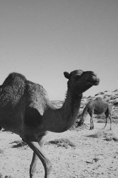 Marokko - Tamraght - Women's (Beginner) SURF RETREAT in Sunny Morocco - 5