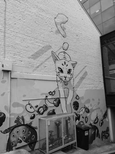 Australia - Hobart - Travel South Tasmania, Australia with Millie! - 3