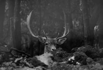 Portugal - Sete Cidades - São Miguel, The Mysterious Green Island of Azores, Portugal | Women Only