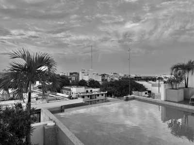 Mexico - Playa del Carmen - GIRLS ONLY Playa del Carmen Trip: Snorkel in Cenotes, Zipline Through the Rainforest, Party on the Beach, Explore Archaeological Sites, Throw Axes, and MORE! - 4