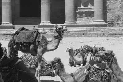 Jordan - Wadi Musa - Explore Jordan's Timeless Beauty: From Petra to Wadi Rum - 2