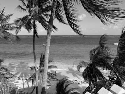 Kenya - Nyali Beach - Kenya Uncovered: Dive into the Beauty of Mombasa Coastal Gem! - 2