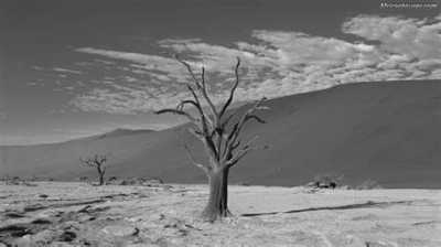 Subsahara-Afrika - Namib-Naukluft National Park - Expedition Kapstadt - Namibia - Victoria Falls - 2