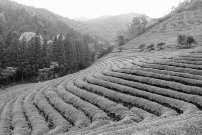 Korea, South - Jeonju-si - South Korea Photography Tour