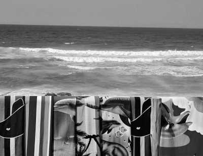 South Africa - Dolphin Coast - Discover the Magic of South Africa on a Coworking Adventure for Digital Nomads - 1