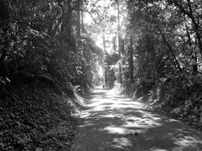 Brazil - Parque Estadual Cantareira - Núcleo Pedra Grande - Samba Soul Retreat: 7 Days of Heart-Opening Bliss in Brazil - 1