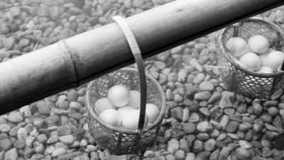 Japan - Hakone - Unwinding in Hakone, Japan: A 3 Day Escape to Nature's Paradise - 3