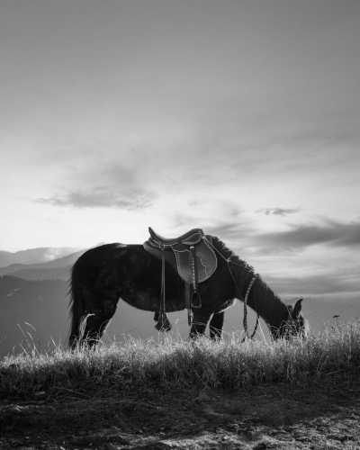 Pakistan - Nathia Gali - Serene Weekend Getaway to Nathiagali, Pakistan - 1