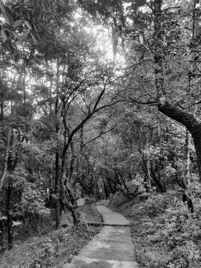 Nepal - Sundarijal - Explore Nepal: Hiking through Chisapani and Nagarkot inside Shivapuri National park - 2