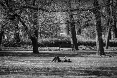 Hungary - Margaret Island - Danube Bicycle tour and discovering Budapest, Hungary 🚲🌉 - 1