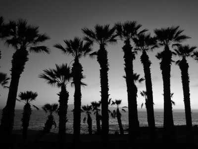 Spain - Tenerife - Sportreise auf Teneriffa – Sommer, Sonne, Strand und Sport in einer Villa 🌍🌞🏝️🏋🏻 - 2