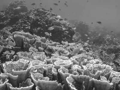 Indonesien - Amed Beach - 7-DAYS Exploring Hidden Gems in Bali, Indonesia