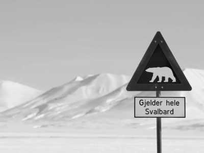 Svalbard - SVALBARD - THE NORTH IS CALLING - JoinMyTrip