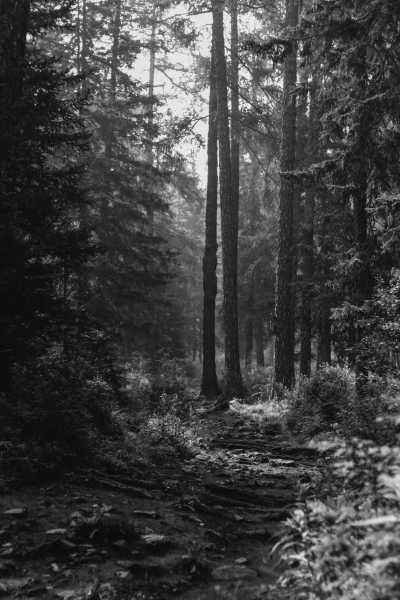 Sweden - Gävle - Roadtrip from Gothenburg to Hike Kebnekaise - Sweden Camping Trip - 2