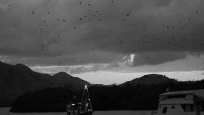 Indonesien - Nationalpark Komodo - *Returning Tripmates only* A Thrilling Tour to Indonesia's Most Beautiful Islands: Unforgettable Liveaboard Experience, Seaside Glamping and Relaxation in a Beachfront Villa (INDONESIA TRIP - PART I) - 4