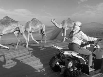 United Arab Emirates - Desert Dubai Safari - Discover Dubai, UAE! Relaxation, Desert, Beach and more! - 2