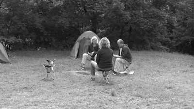 France - Camping Lefébure - A Magical Experience | Alsace, France | Walkshop Light | 4 Days | 4 Lakes Tour - trip to Lac Blanc, Lac Noir & more - 13