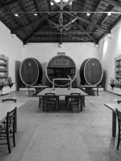 Italy - Marsala - Explore the West Coast of Sicily | Gastronomy & Rural Regeneration with a Local - 12