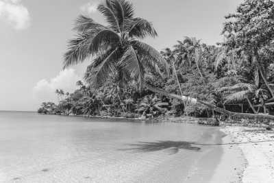 Thailand - Ko Pha Ngan - Focus, Create & Connect – A Coworking Adventure on Koh Phangan - 3