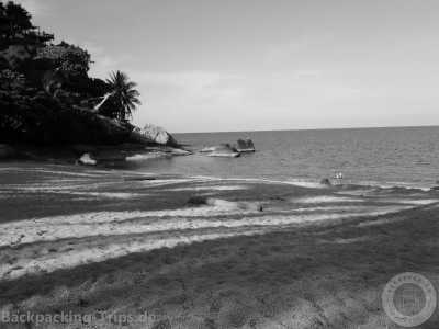 Thailand - Ko Pha Ngan - 🇹🇭 Entdecke Thailand's Unterwasserwelt - lerne Tauchen auf Koh Tao - inklusive Tauchschule / 6 Tauchgänge 🤿🌅🌴🍺 - 2