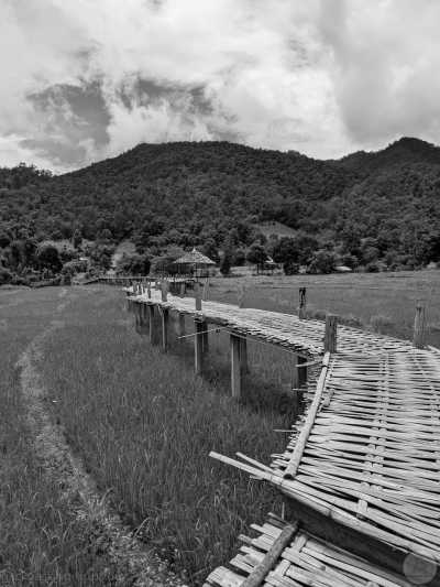 Thailand - Pai Walking Street - 🇹🇭 Thailand - Central & North Thailand Backpacking Trip 10 days 🍻🏯🌿🐘 Nightlife, Culture, Nature & Fun (Bangkok, Sukhothai, Chiang Mai, Pai) - 4