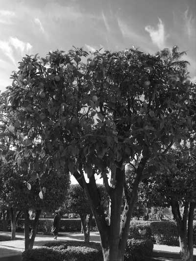 Marokko - Koutoubia - Exploring Marrakesh, Morocco While CoWorking - 2