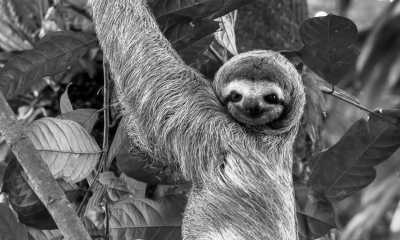 Costa Rica - Punta Leona - Majestic Adventures in Costa Rica: Beaches, Volcanoes, Hot Springs, Cloud Forest, and Pura Vida Lifestyle! - 3