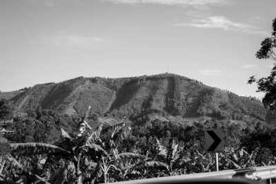 Uganda - Entebbe International Airport - Uganda's Bwindi Jungle Trip: Discover Mountain Gorillas & Rare Wildlife! - 2