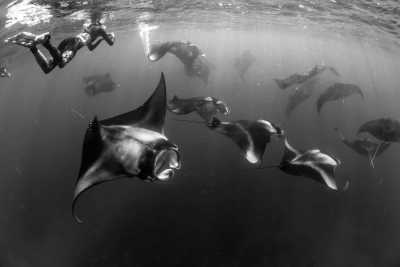 Malediven - Maafushi - Maafushi Marvels: Culinary, Culture, and Marine Adventures in the Maldives - 4