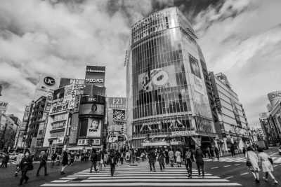 Japan - Shibuya City - Photographers Unite! Shoot the best spots in Tokyo with a Pro