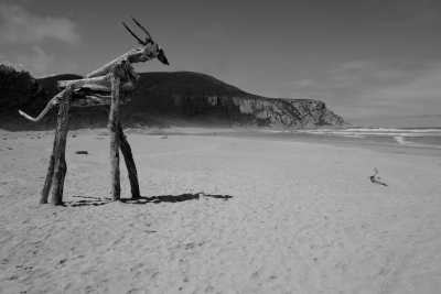 South Africa - Natures Valley - Cape Town and the Garden Route 🇿🇦 Explore South Africa with a Local - 3