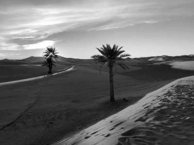 Marokko - Merzouga - 4-Day Sahara Escape: Marrakech to Merzouga - 2