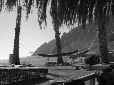 Ägypten - Dahab - Dahab - South Sinai Coworking Trip - 1