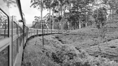 Sri Lanka - Ella - Co-Working in Sri Lanka - Explore The Paradise lsland Beach, Nature, Waterfall, Foods, Sun ☀️ - 5