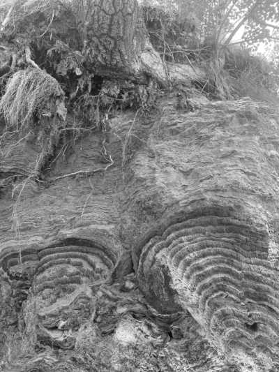 Georgien - Truso Gorge - Trekking- und Kulturreise nach Georgien - 7