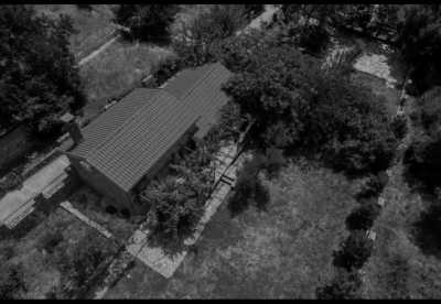 Montenegro - Budva - Montenegro Sea Life Adventures with a Local - Freediving, Boat trip, BBQ, Hidden Gems - 2