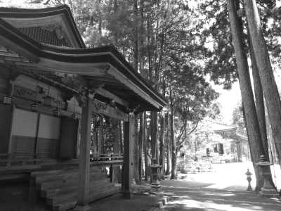 Japan - Koyasan - Spring in Japan:  2 wks Adventure for Cherry Blossom Seekers - 7