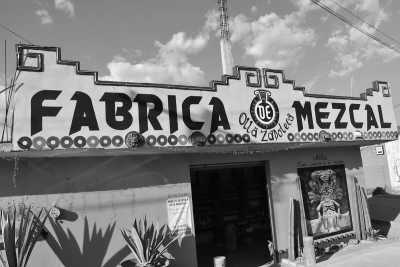 Mexiko - fabrica de mezcal - Experience Mexico: Cultural Dia de Muertos