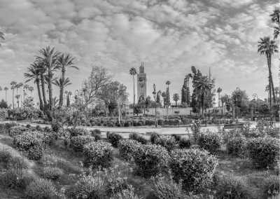 Morocco - Marrakesh - Exploring Marrakesh, Morocco: Nature, Culture and Handcrafts - 1