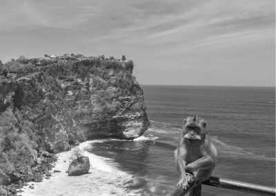 Indonesien - Uluwatu Temple - 10 Days Surf camp & Yoga Retreat in Lombok and Bali, Indonesia with a Professional Team, Trainer & Party - 1