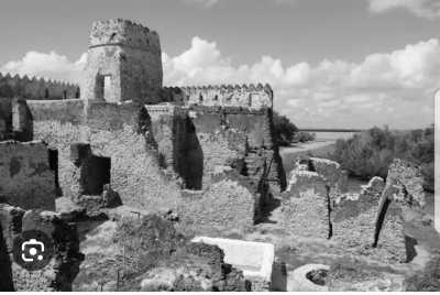 Tanzania - Kilwa Masoko - Swahili Coast Exploration: Discover the Beauty, History, and Cultural Heritage of Tanzania & Zanzibar