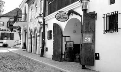 Poland - Kazimierz Dolny - Unique Poland for Beginners Experience: Royal cities, UNESCO Sites, and Food and Wine tours! - 11