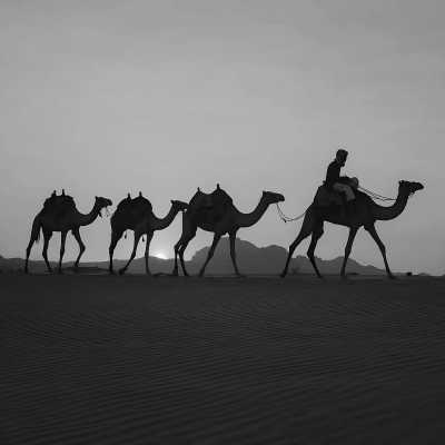 Jordan - Wadi Rum Bedouin Camp - Explore the Magnificent Treasures of Jordan like Never Before: From the Dead Sea to the Red Sea and Beyond! - 2