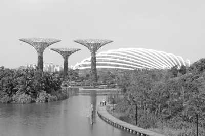 South-eastern Asia - Singapore - Journey through Southeast Asia: A Week of Urban Marvels, Cultural Delights, and Tropical Wonders in Singapore and Malaysia - 6