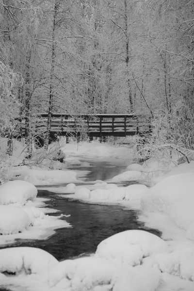 Finnland - Ounasvaara - FINLAND Dreamland:🎅 Santa Claus Village, 🦌 Reindeer Sledding, Finnish Sauna, and ❄️ Icebreaker Cruise! - 1