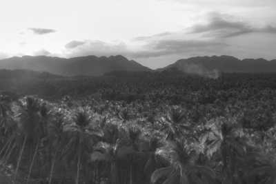 Philippinen - Kaha Island Stay - Colive with a Local Nomad in the Philippine Paradise 🌴 - 1